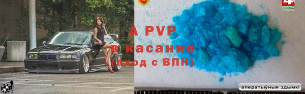 стаф Абинск