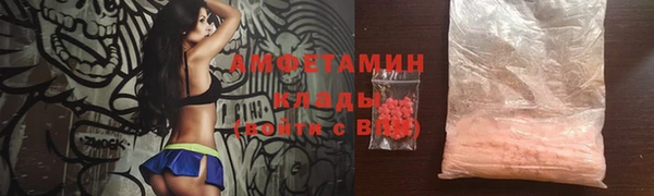 мет Алексин