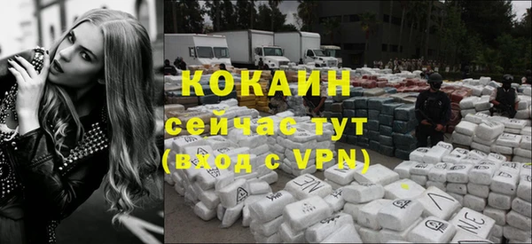 дживик Абаза