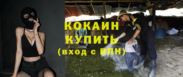 стаф Абинск