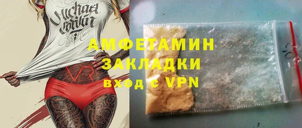 мет Алексин