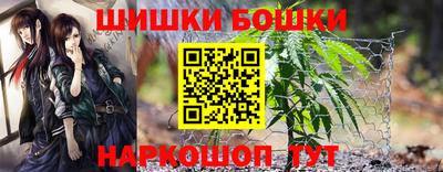 крисы Заводоуковск