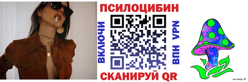купить закладку гидра рабочий сайт Галлюциногенные грибы Psilocybine cubensis Полевской